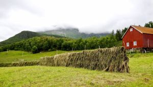 Slutt for matproduksjon på vestlandet?