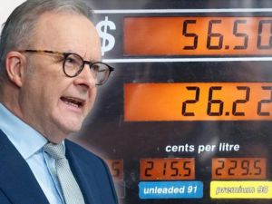 Labor slowly waking up to fact people are suffering from war