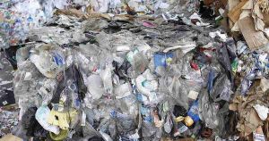 The Real Toxic Masculinity: The Hidden, Chemical Crisis Destroying American Manhood