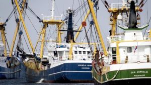 Hele kottervloot aan de kant door dure diesel, vreest Vissersbond