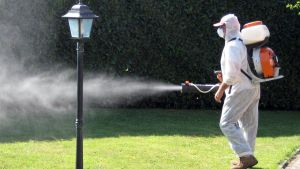 Lissone, Ats conferma due casi di Dengue: scatta la disinfestazione per 3 giorni