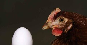 Kolumne Alltagsdinge