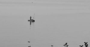 Grief, Loss, Abundance, Joy: Finding Refuge in Harsh Times