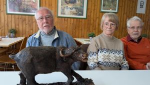 Von Super 8 bis Youtube: Diese Senioren teilen eine besondere Leidenschaft