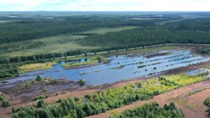 Ympäristö | Lukijalta: Turvetuotanto on tehnyt järvistä möhnäisiä – saadut tuotot pitäisi käyttää ympäristön ennallistamiseen