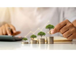 Can NRIs hold multiple NRI accounts? rules, benefits and use cases