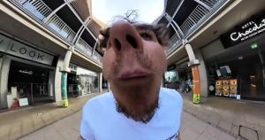 TikTok sensation runs around towns with camera in his mouth - here's why