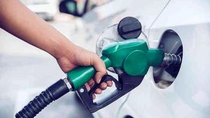 Mumbai's Petrol Panic: How Past Traumas & Social Media Anxiety Drive Herd Behavior