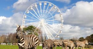 Things to do in Cork with the kids this Easter