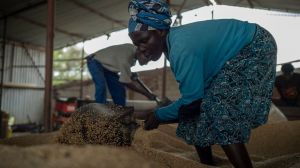 Il nazionalismo delle risorse in Zimbabwe non risparmia Usa e Cina