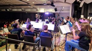 Ungezähmte Affen, elegante Schwäne und summende Hummeln: Stadtkapelle verzaubert Blumberg