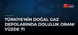 Türkiye’nin Doğal Gaz Depolarında Doluluk Oranı Yüzde 71