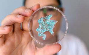 Plastic is poisoning the planet – and us