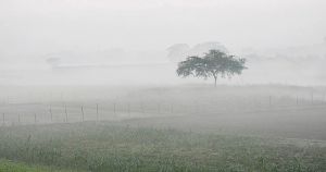 December in March spells doom