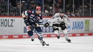 Wild Wings unterliegen erneut und stehen vor dem Aus