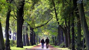 Schon fünf Minuten Spazierengehen verlängern das Leben