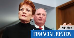 One Nation now speaks for a generation politics ignored