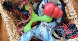 It’s Spring! Time for Kids to Declutter