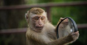 Perfectionism Is a Form of Masking