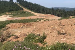 Orman ihaleleri maden projeleriyle birebir örtüşüyor!