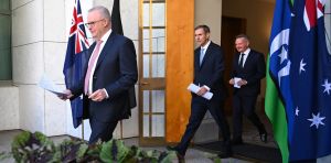 Halving the fuel excise is smart politics, but flawed policy