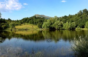 Mladi istraživači Srbije pozivaju građane da iskažu mišljenje o predlogu Programa zaštite prirode