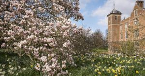 Two Norfolk spots named among best places to see blossom this spring