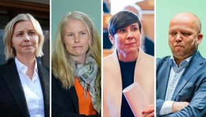 De fire skvispartiene