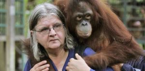 Birutė Galdikas: The last of ‘Leakey’s Angels’ in primatology’s most extraordinary chapter