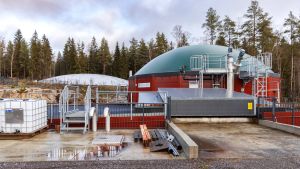 Politiikka | Lukijalta: Fossiilisen energian kriisiä ei pidä ratkaista suomalaisen biotalouden kustannuksella