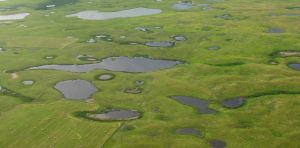 Water flow in prairie watersheds is increasingly unpredictable — but AI could help
