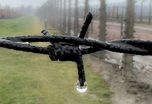 What We Carry Forward: From Poland to Passover