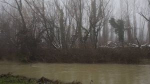 U prethodna tri dana porast vodostaja, biće intenzivnijih padavina