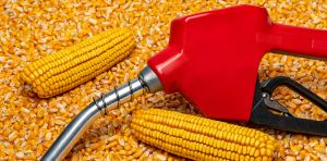 Is E10 fuel bad for my car? And could it save me money?