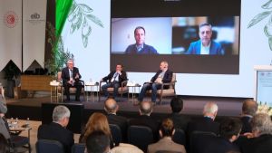 Sürdürülebilir zeytin tarımı için rekolte tespit yöntemleri