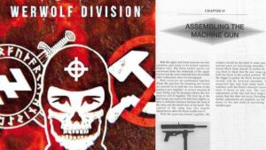 I libri per costruire armi, il gruppo neonazista, il canale Telegram: così il 17enne progettava la strage a scuola