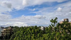 Delhi to witness more rain this week, temperatures to fluctuate