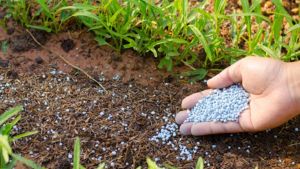 Fertiliser Faultline