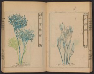 Pierna, ambulancia, colchoneta