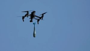 America’s Maginot lines of defense