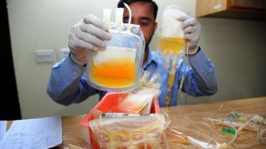 Lo scandalo del plasma: 