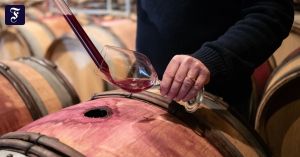 Wein ist nicht nur schädlich