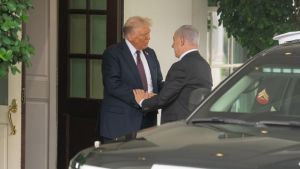 Turuncu voyvodanın 7 günü