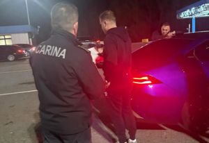 Hrvatske i srpske vrane