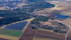 Stadtwald Bad Dürrheim überrascht mit starkem Überschuss statt erwartetem Defizit