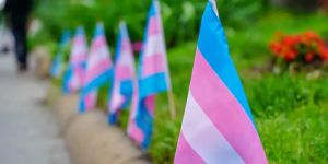 What good is Trans Day of Visibility in an age of Trans Hyper-Visibility?
