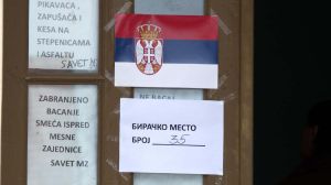 Majer Vifhausen: Lokalni izbori u 10 mesta pokazuju iznova nedostatke srpske demokratije