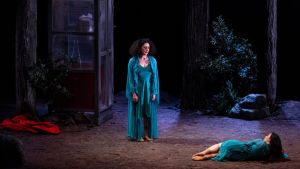 “The forest”, perdersi nel bosco della memoria