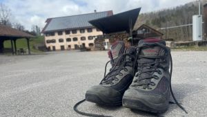 Wandern im südlichen Schwarzwald: Das ist neu auf dem Albsteig und dem Schluchtensteig