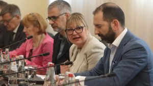 Iz NKEU pozivaju Evropski parlament da uspostavi dugoročnu posmatračku misiju za izbore u Srbiji